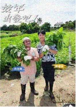 极限挑战